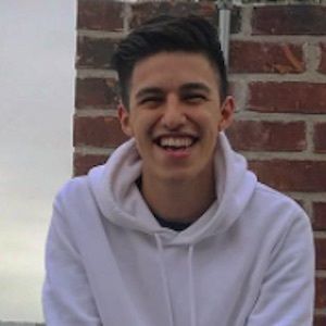 Haro Gilberto image 6