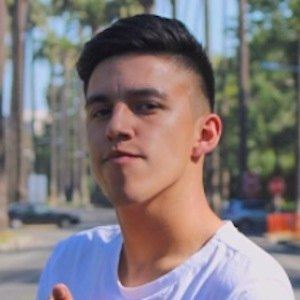 Haro Gilberto image 7