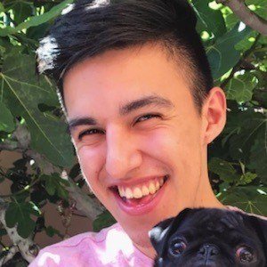 Haro Gilberto image 8