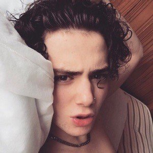 Harri Oakland image 4