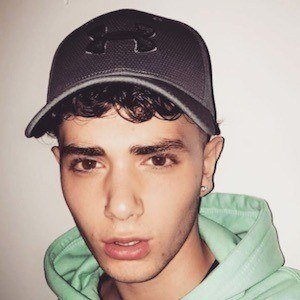 Harri Oakland image 6