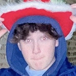 Harry Morelli, 21 (TikTok Star)