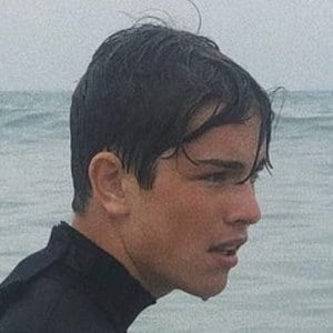 Harry Spurling image 4