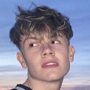 Harry Still image 3