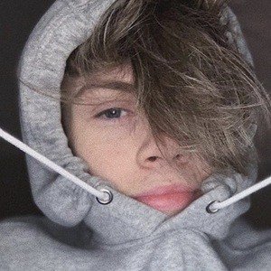 Harry Still image 6