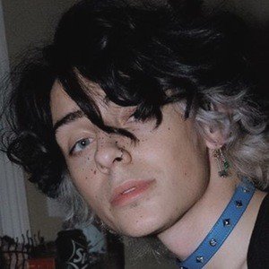 Heir of Atticus, 25 (TikTok Star)