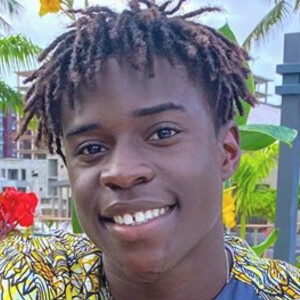 Henriidanger image 7