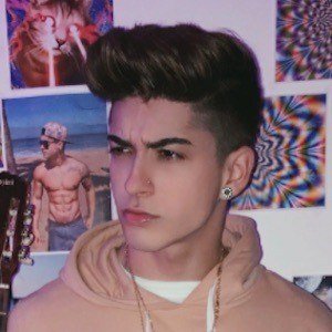 Henrique Lima image 5