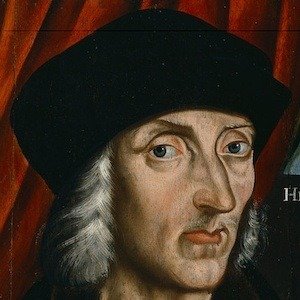 Henry VII image 2