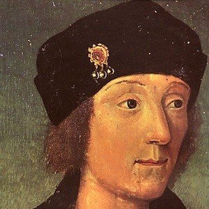 Henry VII image 3