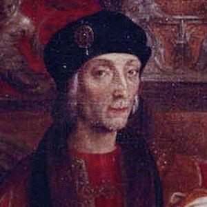 Henry VII image 4
