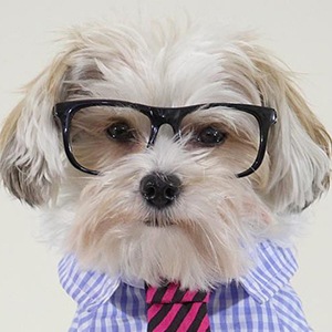 Herman in the Hood, 10 (狗)