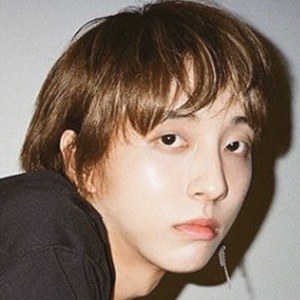 Holland_vvv, 29 (流行歌手)