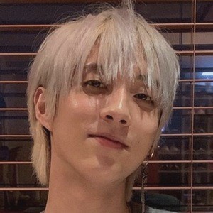 Holland_vvv, 29 (Pop Singer)