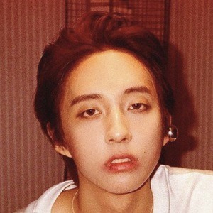 Holland_vvv, 29 (Cantante pop)