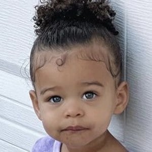 Honor raisinghonor, 3 (TikTok Star)
