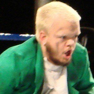 Hornswoggle image 3