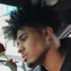 Hugo Almonte image 2
