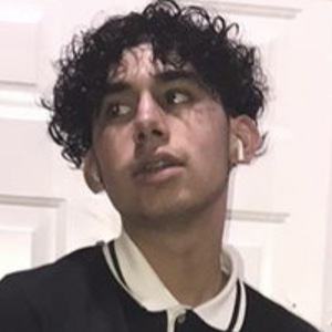 ICiggy, 20 (TikTok Star)