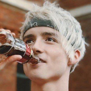 Ilie Bivol, 31 (YouTube明星)