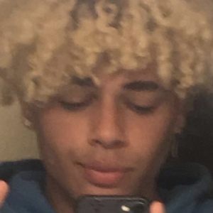 ilymarmo