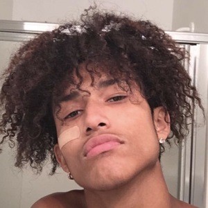 indigoojayden image 2