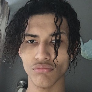 indigoojayden image 6