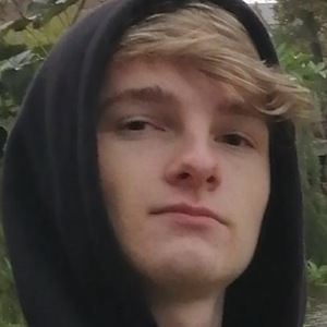 Insanity, 24 (YouTube Star)