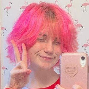 internetbad, 19 (TikTok明星)