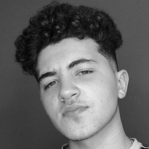 Issam Alnajjar, 22 (TikTok明星)