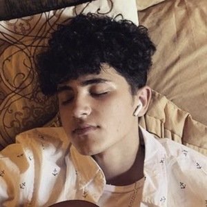 Issam Alnajjar, 22 (TikTok Star)