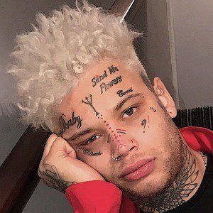 Jack Francis image 3