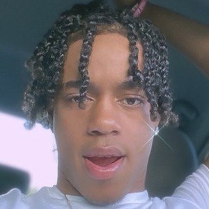 Jakari Stern image 3