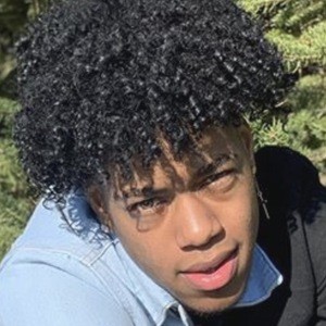 Jakari Stern image 8