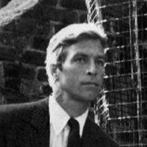 James Franciscus image 3