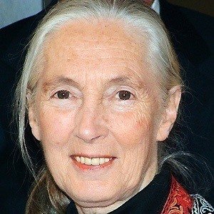 Jane Goodall (1934 - 2025) (动物学家)