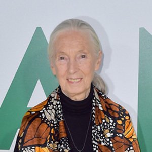 Jane Goodall image 4