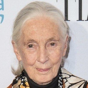 Jane Goodall (1934 - 2025) (Zoologist)