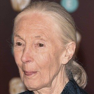 Jane Goodall (1934 - 2025) (Zoologist)