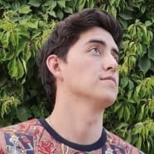 Javier Arrieta Ríos, 25 (TikTok Star)