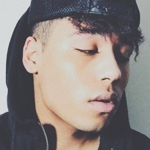 Jay Elixir image 4