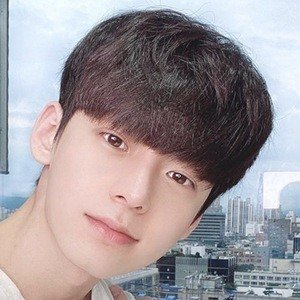 Jeon Changha, 29 (TikTok Star)