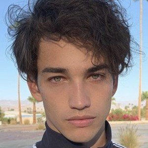 Jessey Stevens image 4