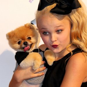 JiffPom, 15 (Dog)