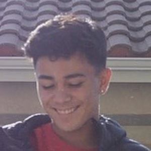 JJ Subia image 7