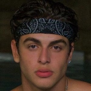 Joao Coronel image 5