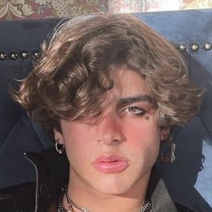 Joao Coronel image 6