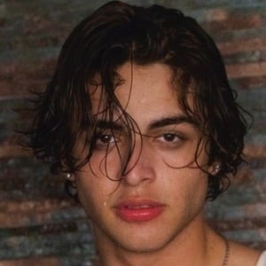 Joao Coronel image 7