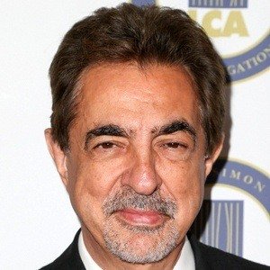 Joe Mantegna image 5