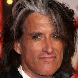 Joe Perry image 3
